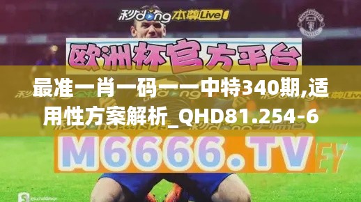 最准一肖一码一一中特340期,适用性方案解析_QHD81.254-6