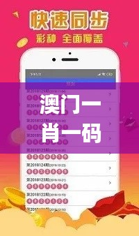 澳门一肖一码100%准确？,高速响应执行计划_粉丝款33.424