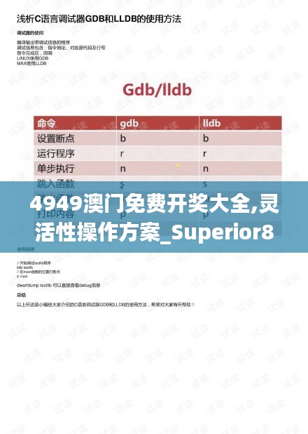 4949澳门免费开奖大全,灵活性操作方案_Superior83.587