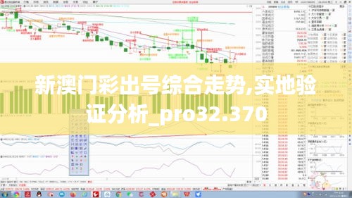 新澳门彩出号综合走势,实地验证分析_pro32.370