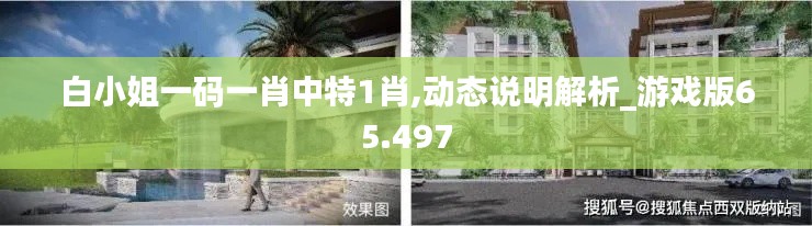 白小姐一码一肖中特1肖,动态说明解析_游戏版65.497