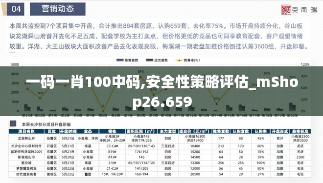 一码一肖100中码,安全性策略评估_mShop26.659