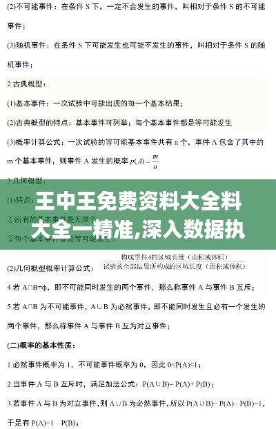 王中王免费资料大全料大全一精准,深入数据执行方案_超值版175.509