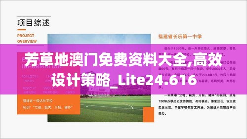 芳草地澳门免费资料大全,高效设计策略_Lite24.616