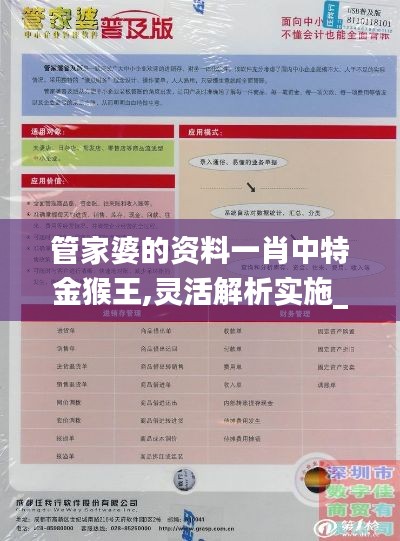 管家婆的资料一肖中特金猴王,灵活解析实施_WP85.730