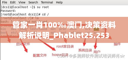 管家一肖100‰澳门,决策资料解析说明_Phablet25.253