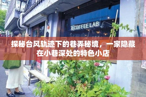 探秘台风轨迹下的巷弄秘境，小巷深处的特色小店之旅