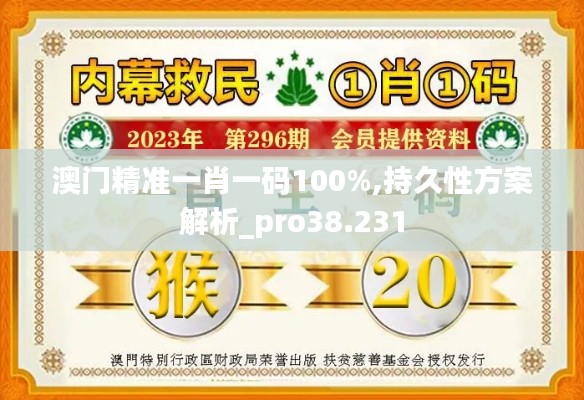 澳门精准一肖一码100%,持久性方案解析_pro38.231