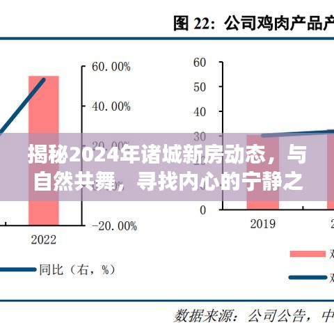 揭秘2024年诸城新房动态，与自然共舞的心灵居所探索之旅