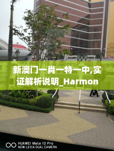 新澳门一肖一特一中,实证解析说明_HarmonyOS68.648