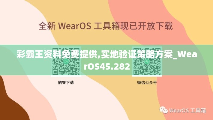 彩霸王资料免费提供,实地验证策略方案_WearOS45.282