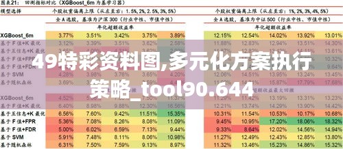 49特彩资料图,多元化方案执行策略_tool90.644