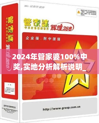 2024年管家婆100%中奖,实地分析解析说明_W77.462