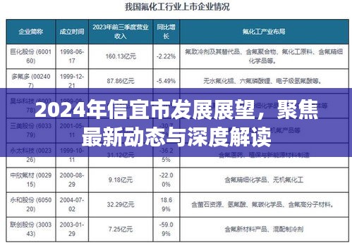 2024年信宜市发展展望，最新动态与深度解读聚焦