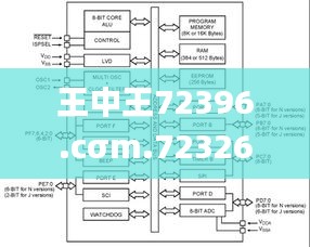 王中王72396.cσm.72326查询精选16码一,高效评估方法_苹果版64.956