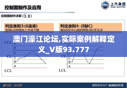 澳门濠江论坛,实际案例解释定义_V版93.777