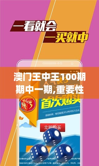 澳门王中王100期期中一期,重要性说明方法_创意版183.923