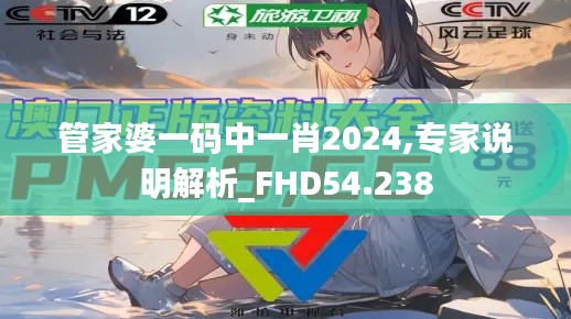 管家婆一码中一肖2024,专家说明解析_FHD54.238