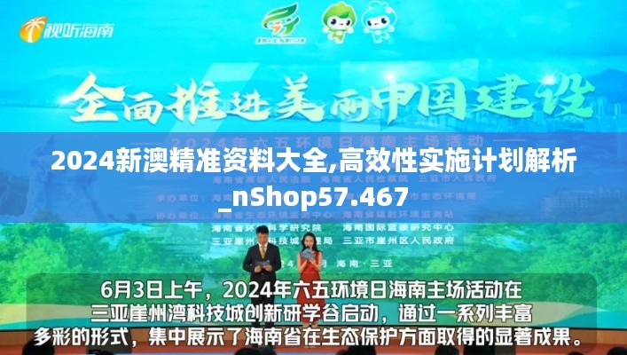 2024新澳精准资料大全,高效性实施计划解析_nShop57.467