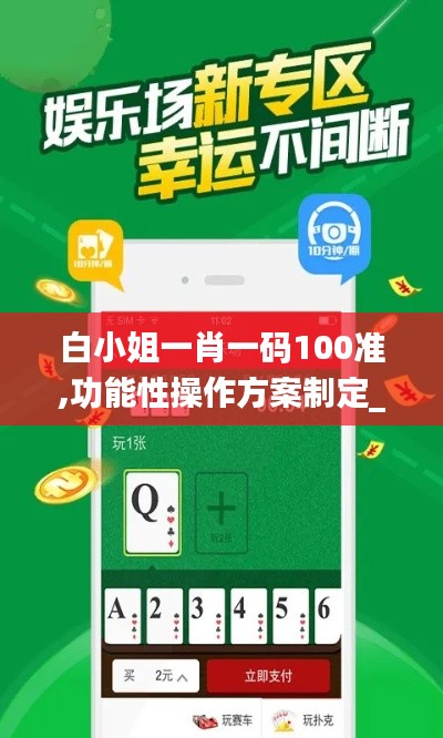 白小姐一肖一码100准,功能性操作方案制定_云端版74.246