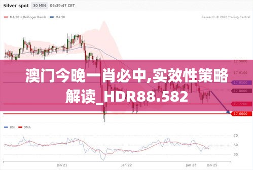 澳门今晚一肖必中,实效性策略解读_HDR88.582