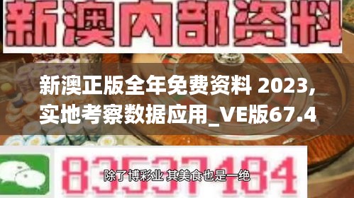 新澳正版全年免费资料 2023,实地考察数据应用_VE版67.476