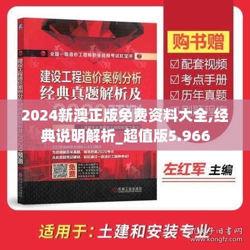 2024新澳正版免费资料大全,经典说明解析_超值版5.966