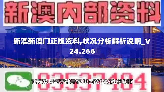 新澳新澳门正版资料,状况分析解析说明_V24.266