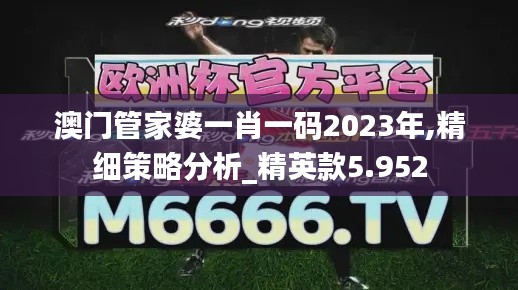 澳门管家婆一肖一码2023年,精细策略分析_精英款5.952