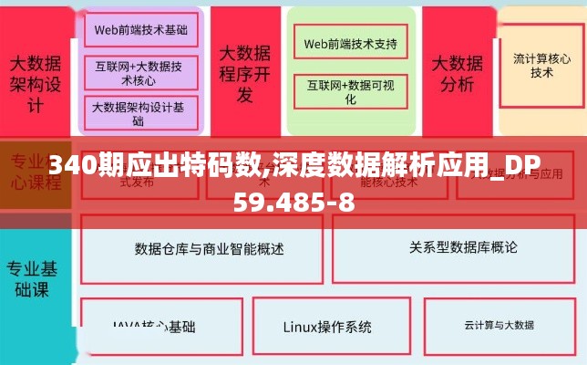 340期应出特码数,深度数据解析应用_DP59.485-8