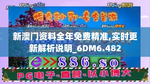 新澳门资料全年免费精准,实时更新解析说明_6DM6.482