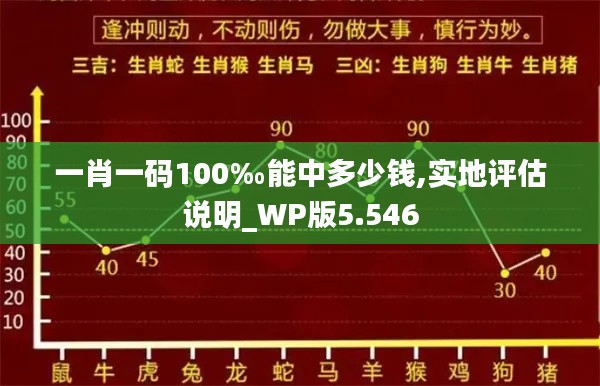 一肖一码100‰能中多少钱,实地评估说明_WP版5.546