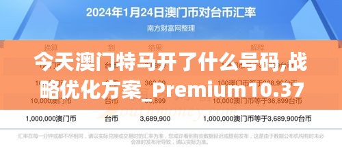 今天澳门特马开了什么号码,战略优化方案_Premium10.371