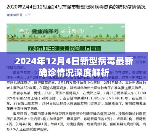 深度解析，2024年12月4日新型病毒最新确诊情况