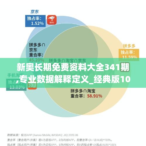 新奥长期免费资料大全341期,专业数据解释定义_经典版10.622