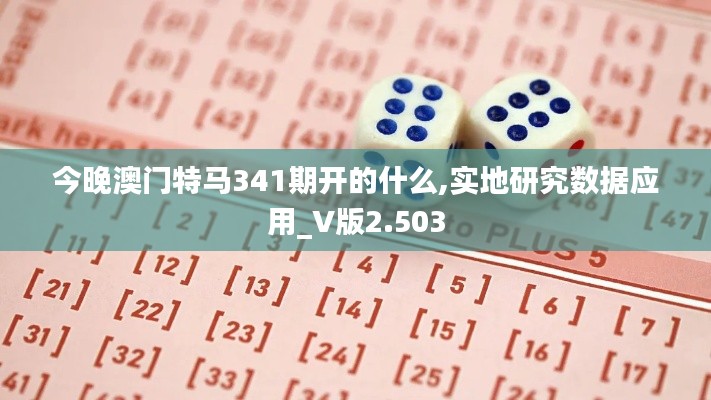 今晚澳门特马341期开的什么,实地研究数据应用_V版2.503