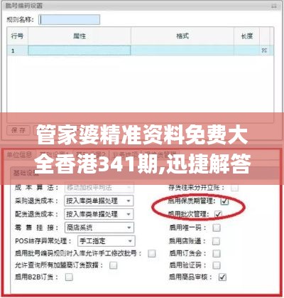 管家婆精准资料免费大全香港341期,迅捷解答方案实施_QHD2.204