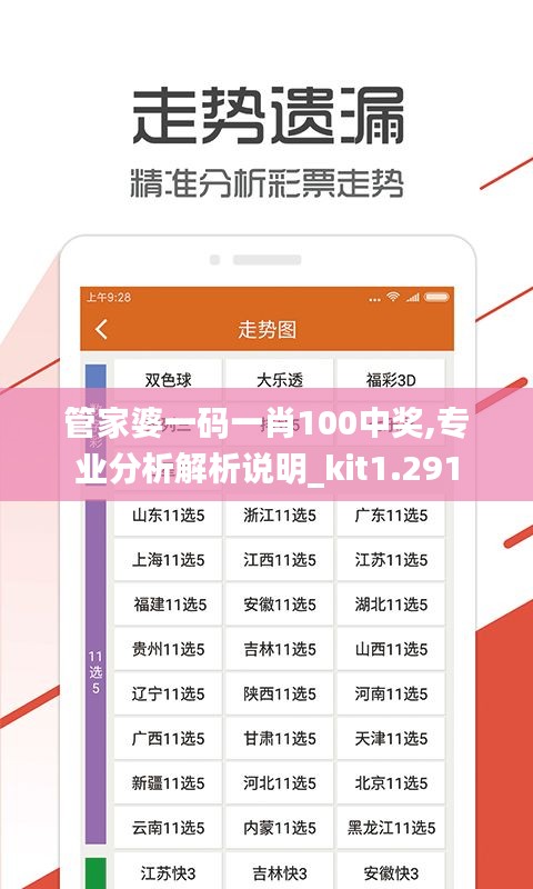 管家婆一码一肖100中奖,专业分析解析说明_kit1.291