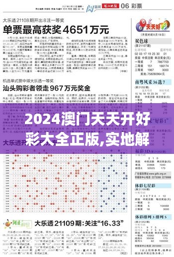 2024澳门天天开好彩大全正版,实地解析数据考察_Advance13.876