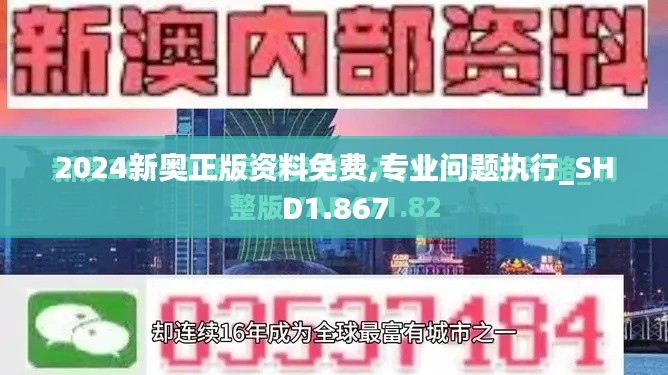 2024新奥正版资料免费,专业问题执行_SHD1.867