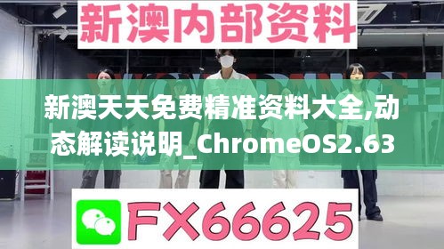 新澳天天免费精准资料大全,动态解读说明_ChromeOS2.633