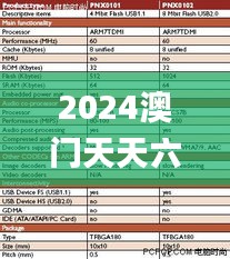 2024澳门天天六开奖怎么玩,全面解析说明_The5.613