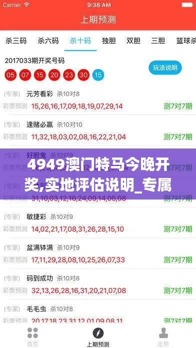 4949澳门特马今晚开奖,实地评估说明_专属款15.378