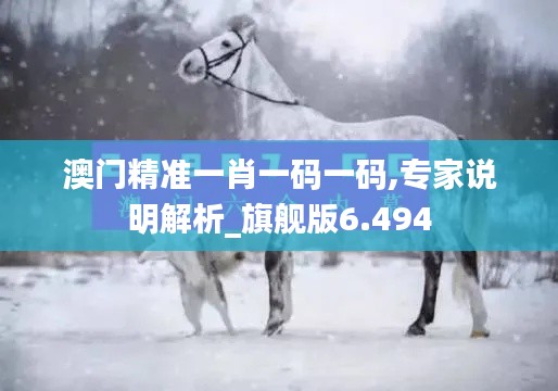 澳门精准一肖一码一码,专家说明解析_旗舰版6.494