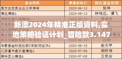 新澳2024年精准正版资料,实地策略验证计划_冒险款3.147