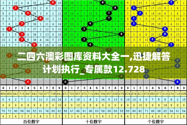 二四六澳彩图库资料大全一,迅捷解答计划执行_专属款12.728