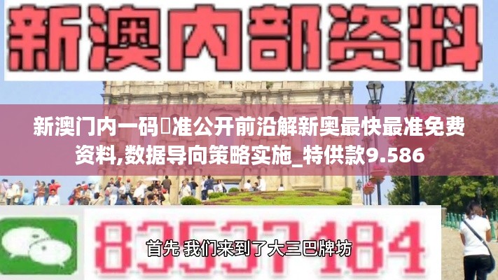 新澳门内一码棈准公开前沿解新奥最快最准免费资料,数据导向策略实施_特供款9.586