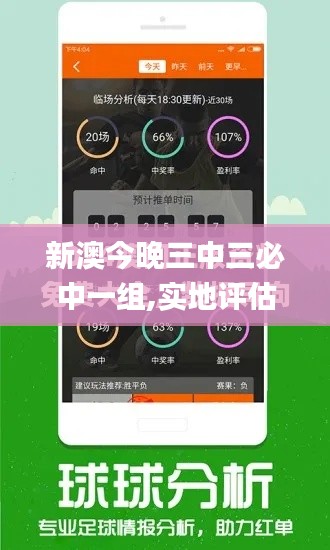 新澳今晚三中三必中一组,实地评估策略_tShop9.626