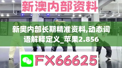 新奥内部长期精准资料,动态词语解释定义_苹果2.856