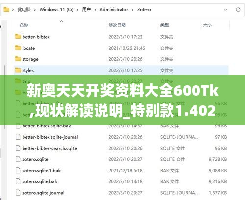 新奥天天开奖资料大全600Tk,现状解读说明_特别款1.402